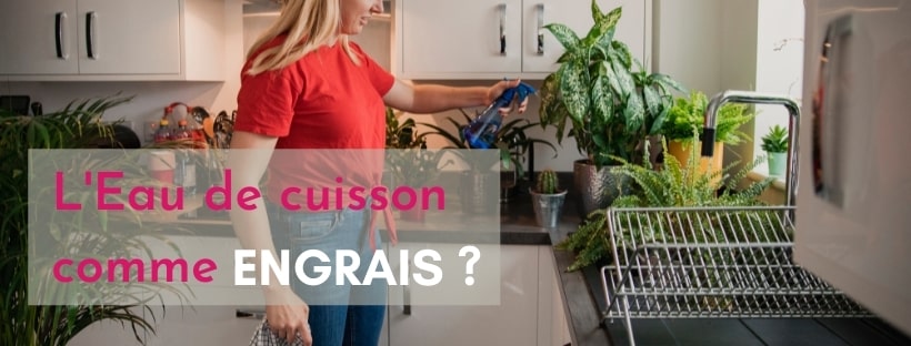 Pflanzen mit Kochwasser gieen | Giekanne Design | L'Arroseur arros