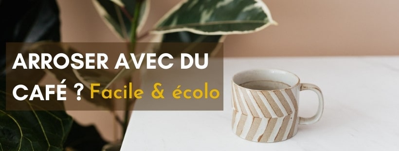 Pflanzen mit Kaffee gieen? | Der Bewsserer hat gegossen | L'Arroseur  arros