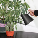 arrosoir noir en bois