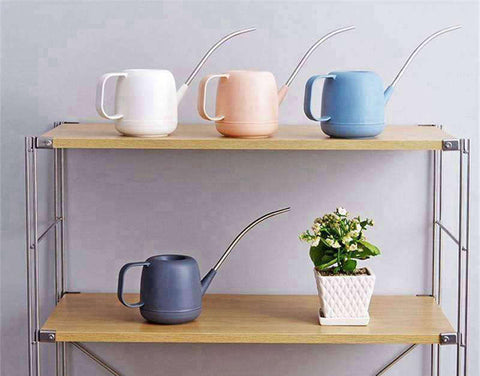 arrosoir bonsaï plastique