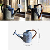 Arrosoir Vintage Zinc galvanisé