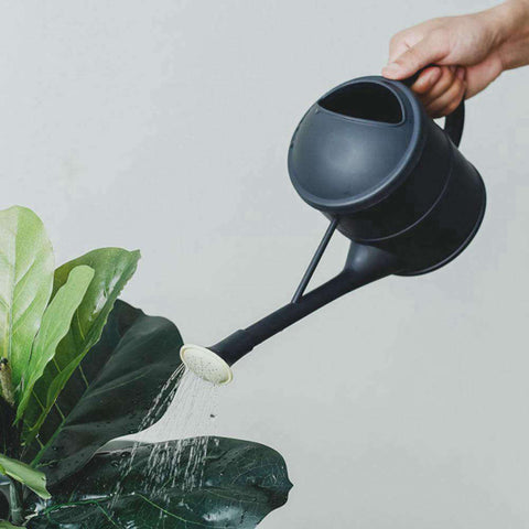 arrosoir d'intérieur plastique