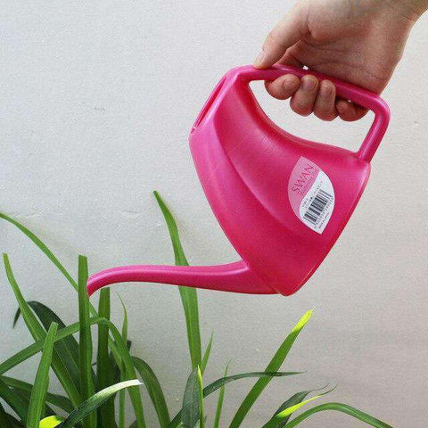 arrosage plante d'intérieur - L'arroseur arrosé