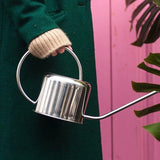 Arrosoir design inox