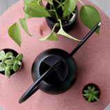 arrosoir noir mat