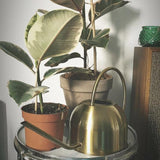 Arrosoir déco (Doré) | L'arroseur arrosé