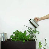 arrosoir plante intérieur