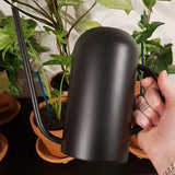 arrosoir métal déco