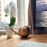 arrosoir rond design