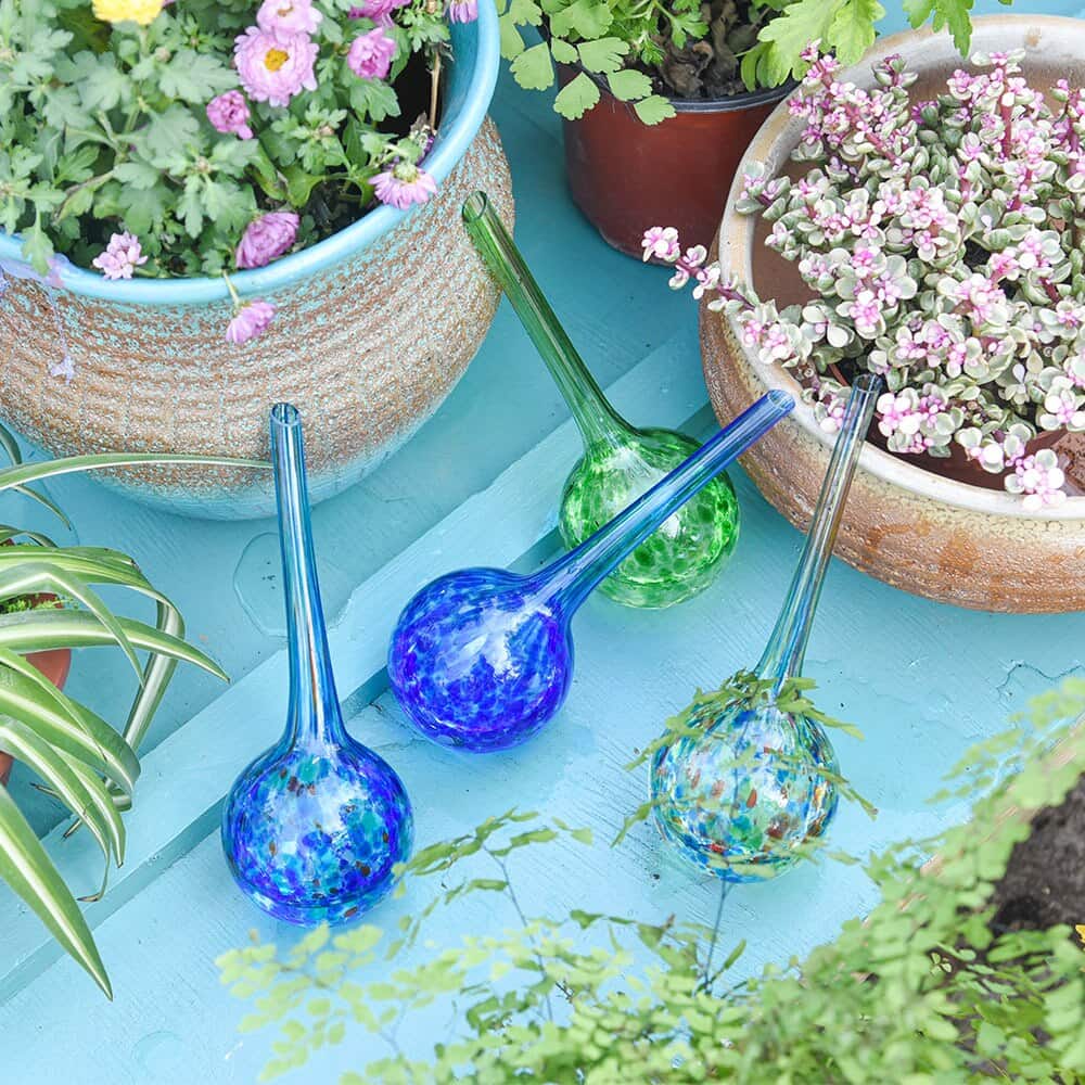 Automatische Glas-Gießkanne