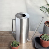 arrosage plante d'intérieur