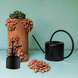 pack arrosoir vaporisateur