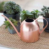 Arrosoir Théière en inox - L'arroseur arrosé