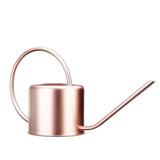 arrosoir rose metal