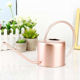 Arrosoir rose métal