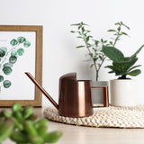 Petit arrosoir d'intérieur