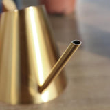 Gießkanne für den Innenbereich: Gold