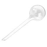 globe arrosage pour plante verte