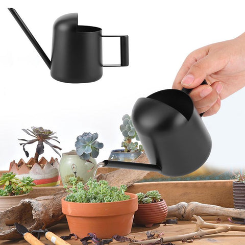 petit arrosoir en métal