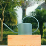 arrosoir interieur 1L