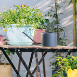 Arrosoir pour plante interieur