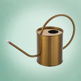 arrosoir interieur doré