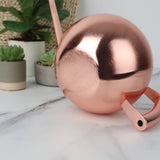 1 Liter Edelstahl-Gießkanne