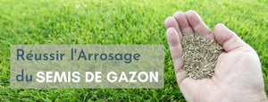 Arrosage semi gazon