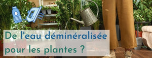 eau déminéralisée plantes