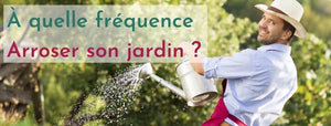 Faut-il arroser son jardin tous les jours ?