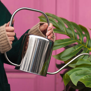Arrosoir déco