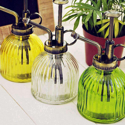 Brumisateur plantes