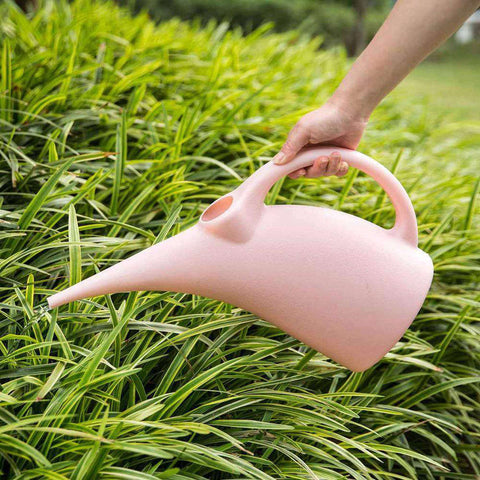 arrosoir rose jardin