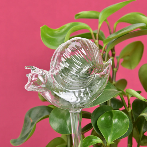 arrosage verre