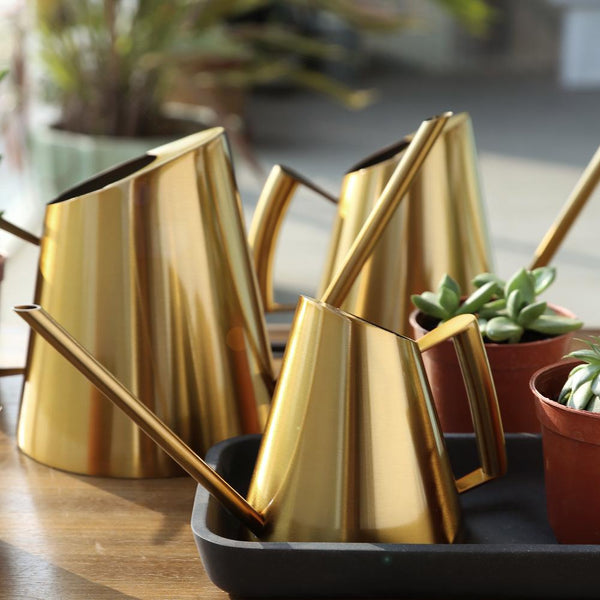 Goldene Zimmergießkanne | Gießkanne Design