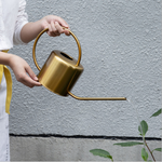 Arrosoir Doré plante d'intérieur