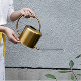 Arrosoir Doré plante d'intérieur
