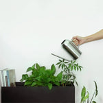 arrosoir plante intérieur 