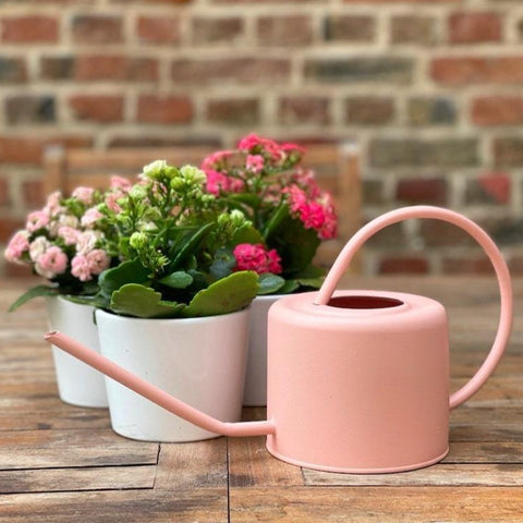 Arrosoir rose 1L