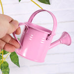 Mini Arrosoir Metal | L'arroseur arrosé