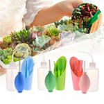 kit entretien plante intérieur 