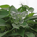 arrosage automatique plante en pot 