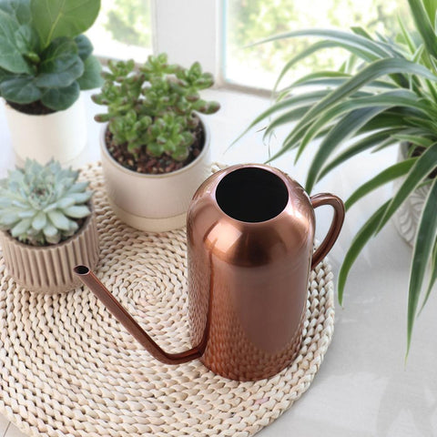 Arrosoir Design métal
