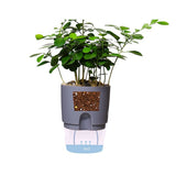 pot de fleur arrosage bac a eau