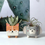 cache pot animaux