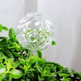 boule d'arrosage en verre