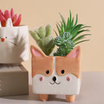 cache pot chien