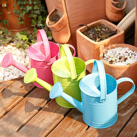 arrosoir en métal pour le jardin