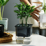 pot arrosage autonome