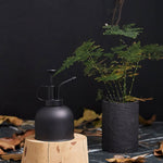 brumisateur plantes noir